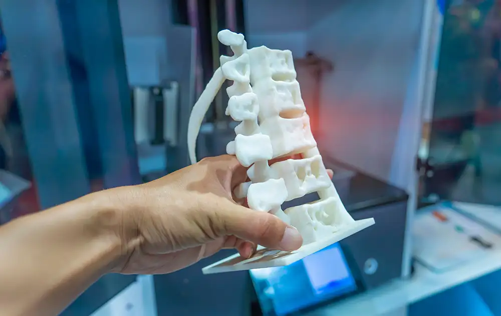 3D printed spine model for medical applications and training.