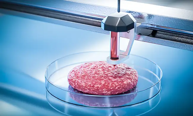 3d printing meat