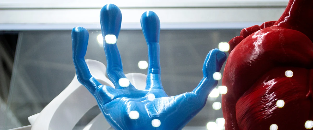 A large 3D printed model of a blue hand with exaggeratedly long fingers stands next to a red, muscular structure. The surfaces of the models are smooth and shiny, and reflections of lights can be seen in the background.